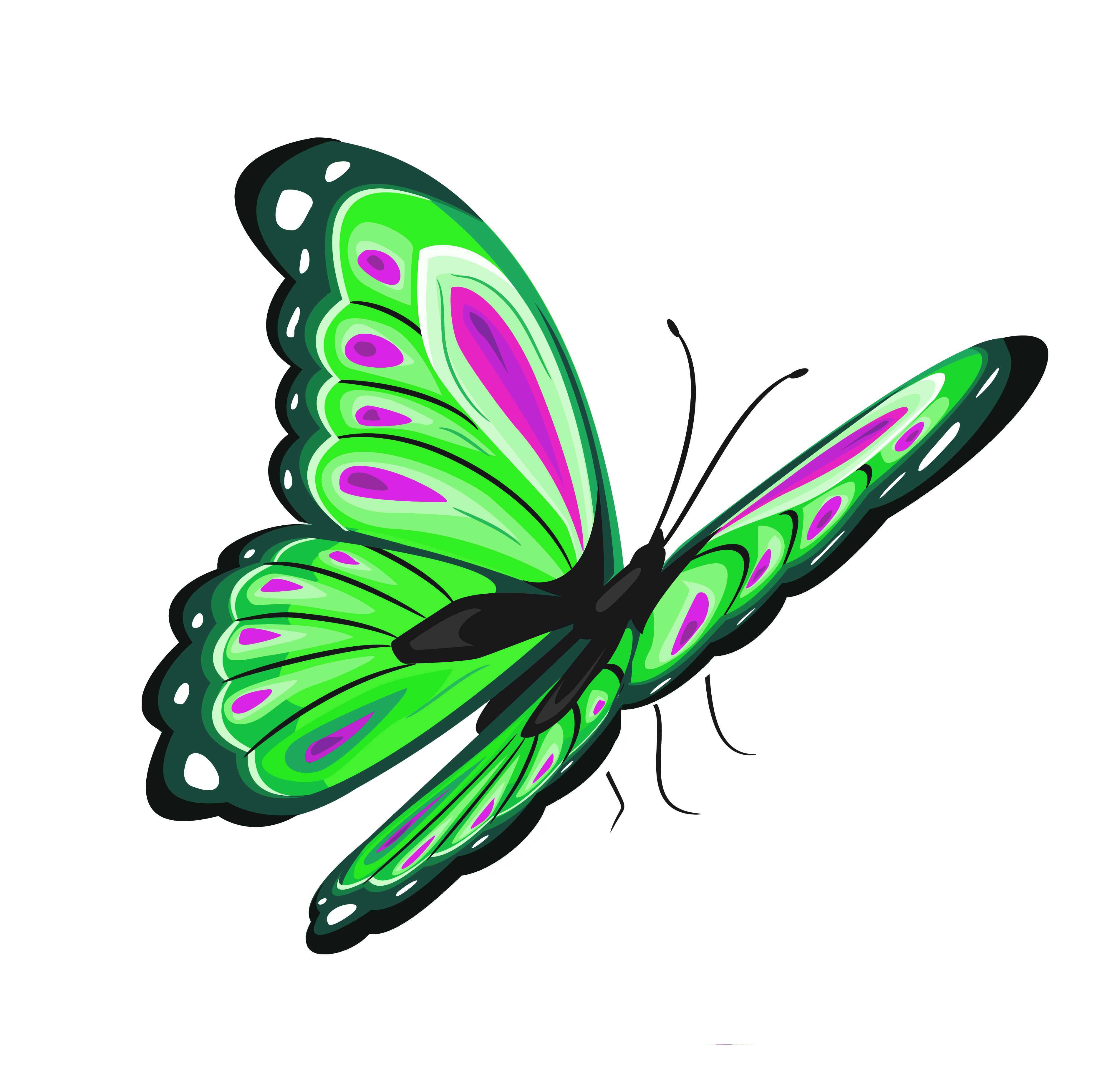 Free Green Butterfly Png Download Free Green Butterfly Png Png Images Free Cliparts On Clipart Library