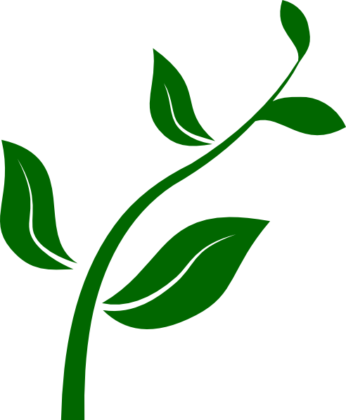 Growing Plant clip art - vector clip art online, royalty free 