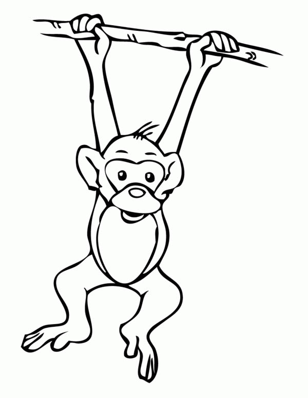 monkey hanging on a tree coloring page - Download  Print Online 
