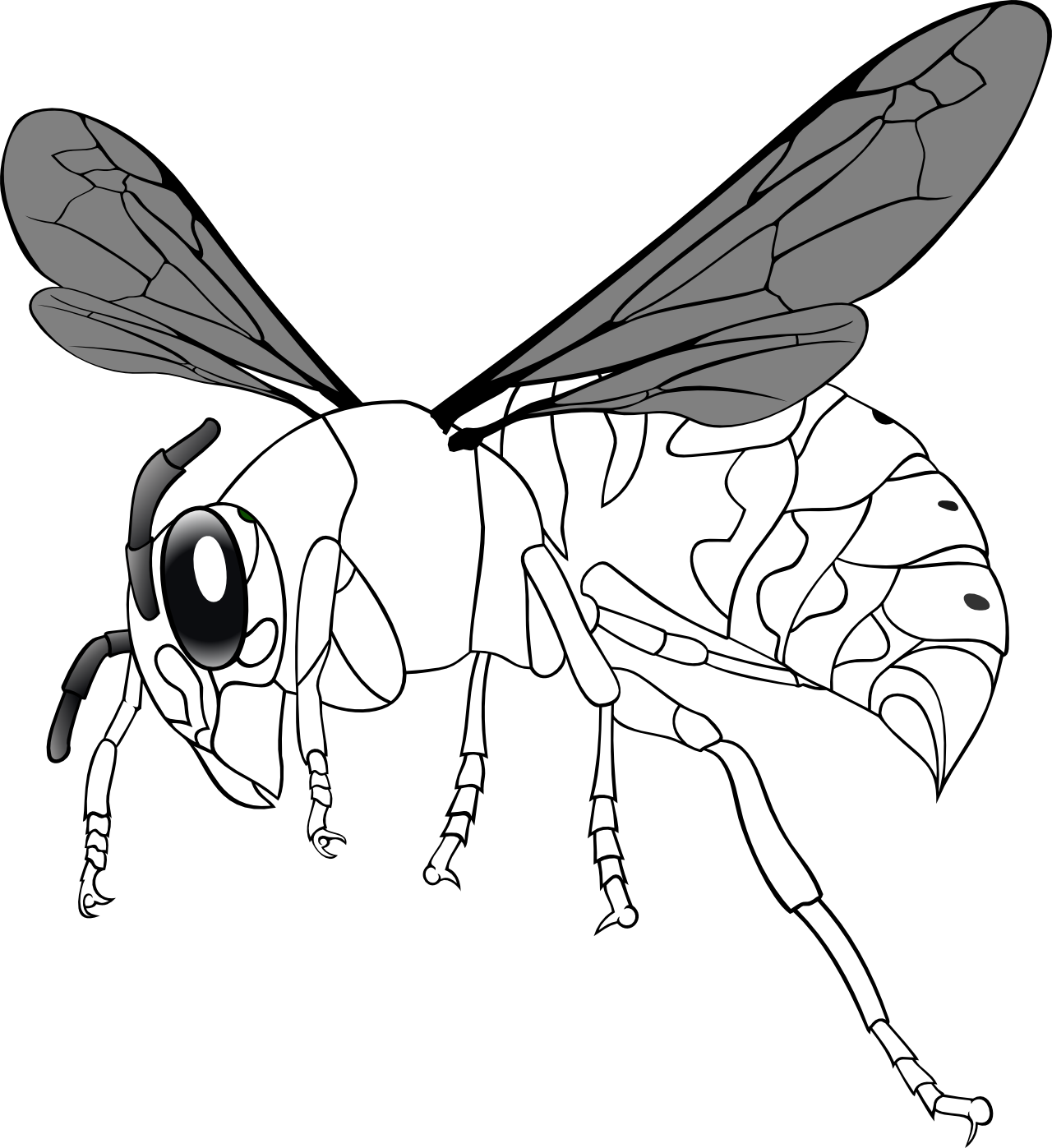 clip art bee line drawing - photo #10