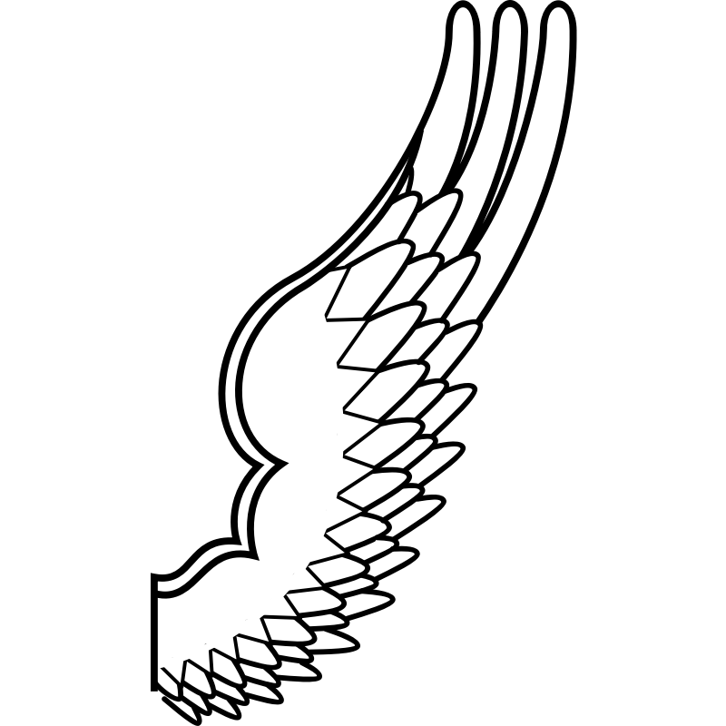 Clipart - Archaic drawing of a bird wing