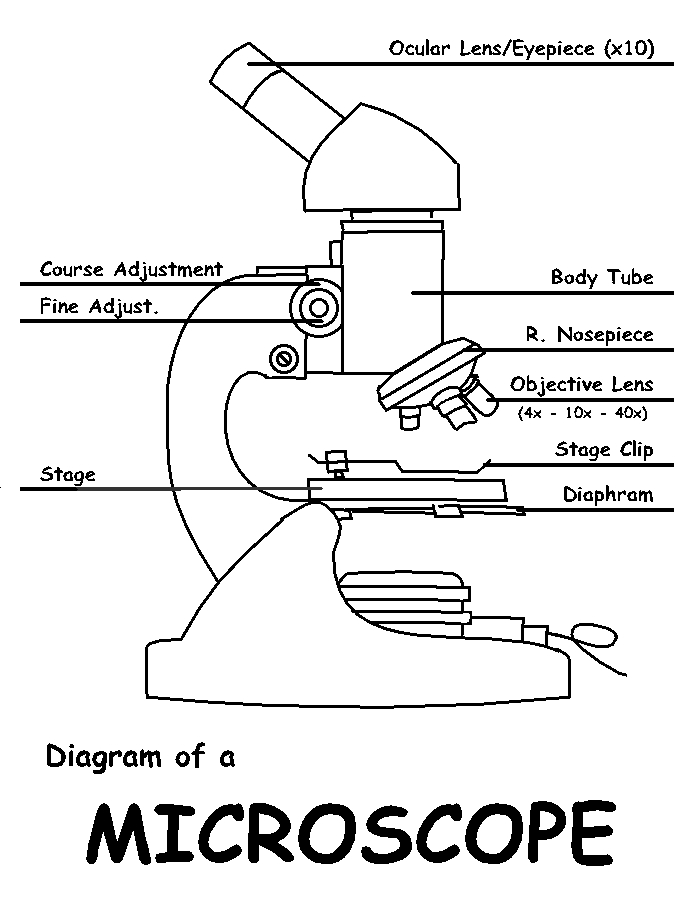 label a compound microscope worksheet
