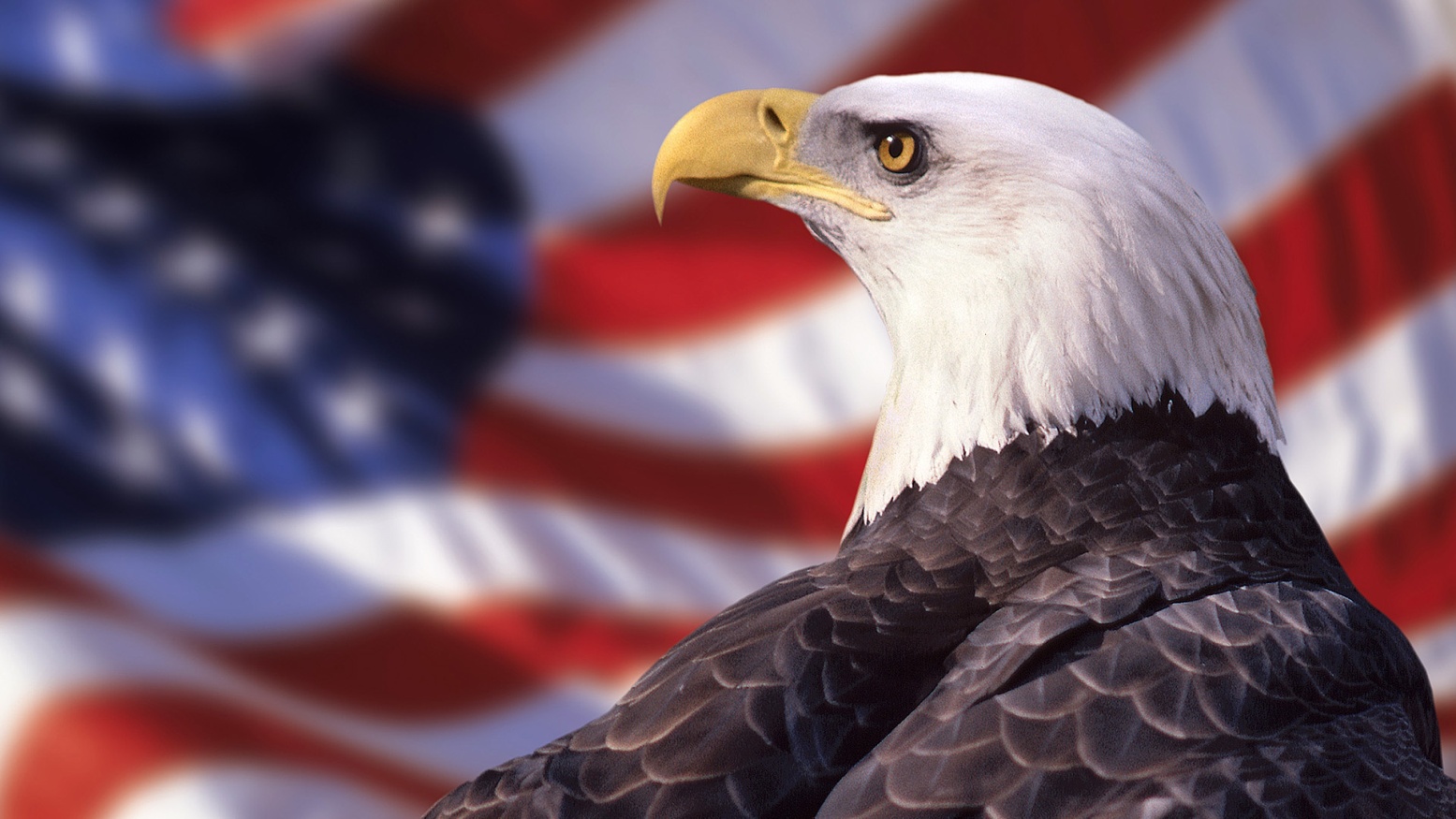 American Flag Wallpaper Eagle | Best Wallpaper Background