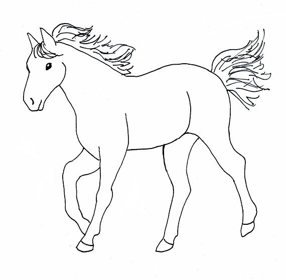 horse-drawing