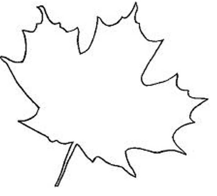 free clip art maple leaf outline - photo #26