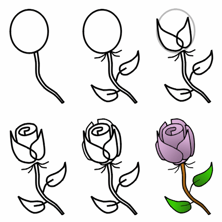 pencil how to draw a rose step - Clip Art Library