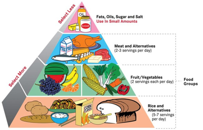 Daily Diet Chart India