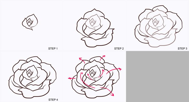 roses drawings step by step