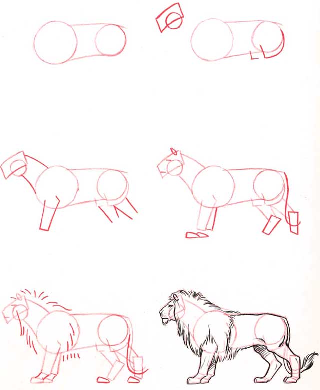 How do you draw a lion?