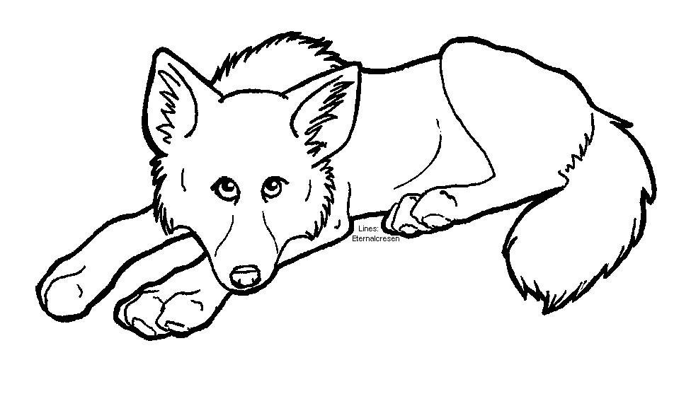 Clipart library: More Like Male - Young Wolf Lineart by Amadoure