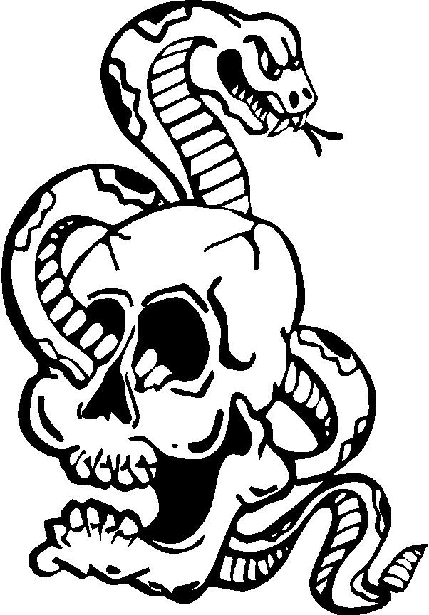 skull snake,Skull bumper decals,Skull Decals, Skull Stickers funny 