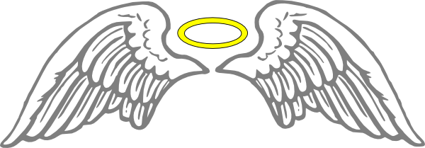 angel-wings-ana-hi