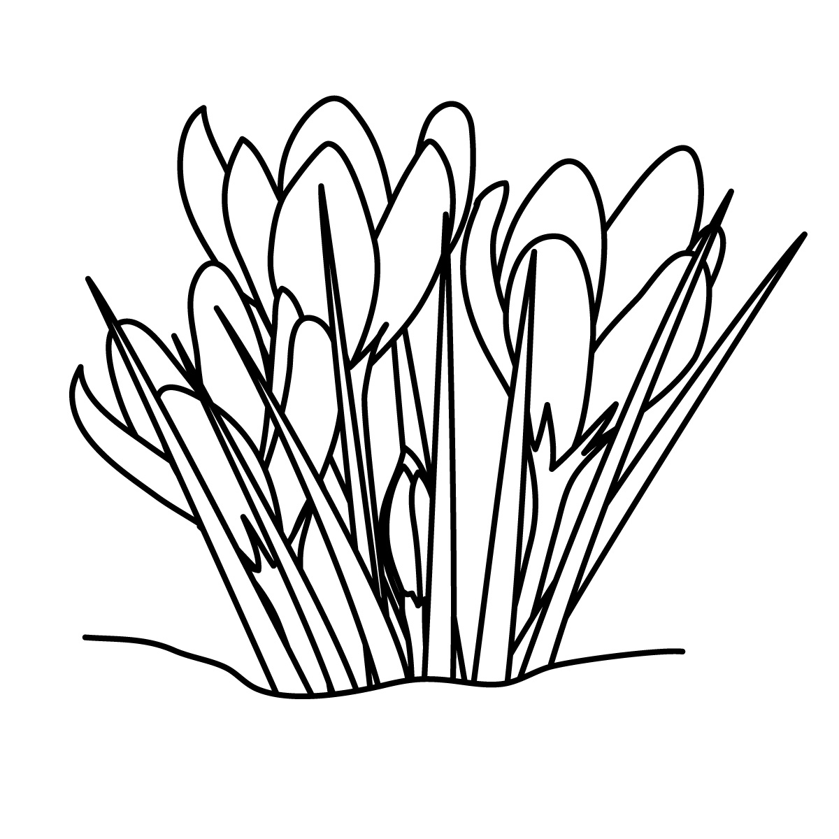 Clipart Spring Flowers Black And White | Clipart library - Free 