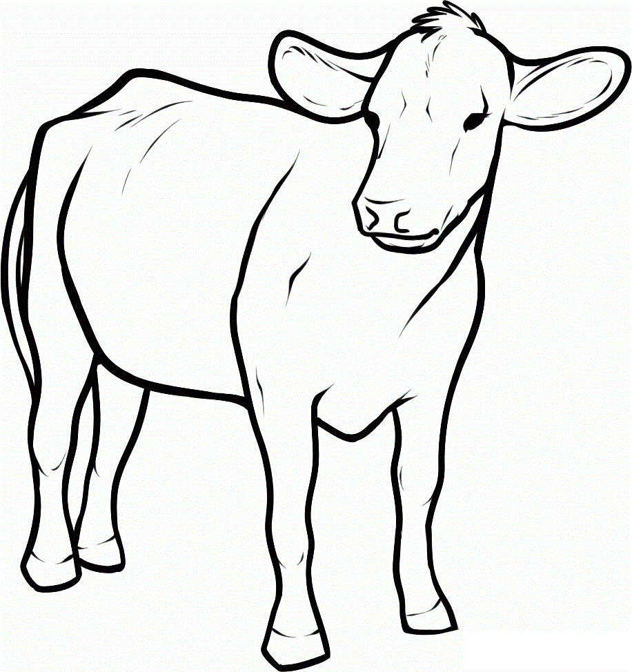Simple Cow outline Coloring Pages for kidsFree coloring pages for 