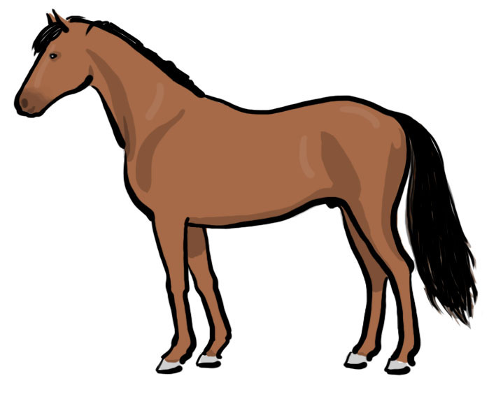 horse illustration free download