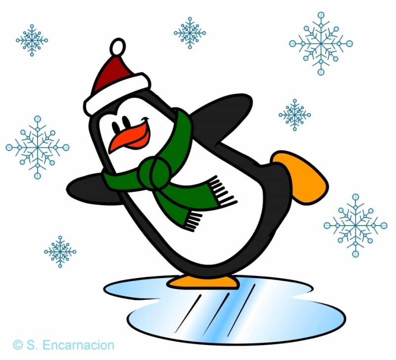 Skating Penguin Cartoon Draw Pic Skating Penguin Cartoon Draw Pic 