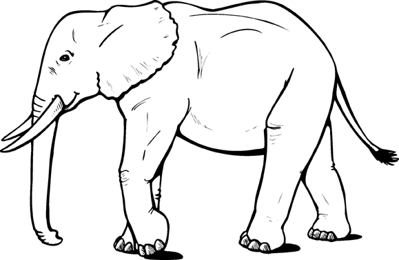 Learning About Elephants - Coloring pages for Elephant Unit Study.