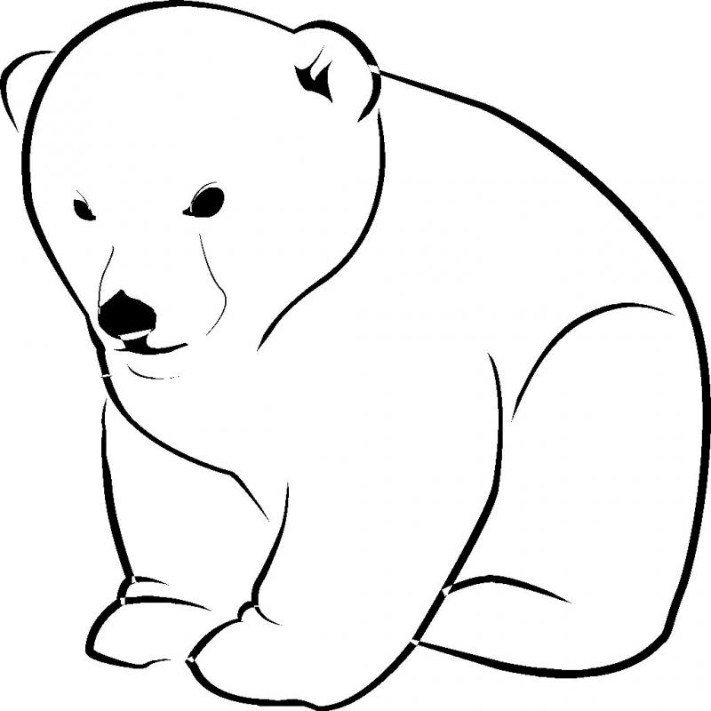 Polar Bear Wall sticker/decal by WallStickers-