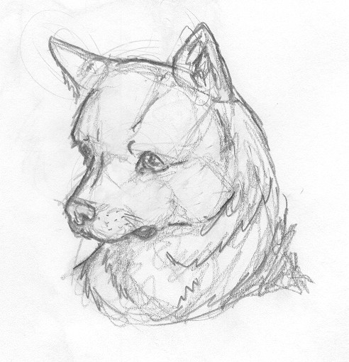 Random Dog Drawing by cloudyyuki on Clipart library