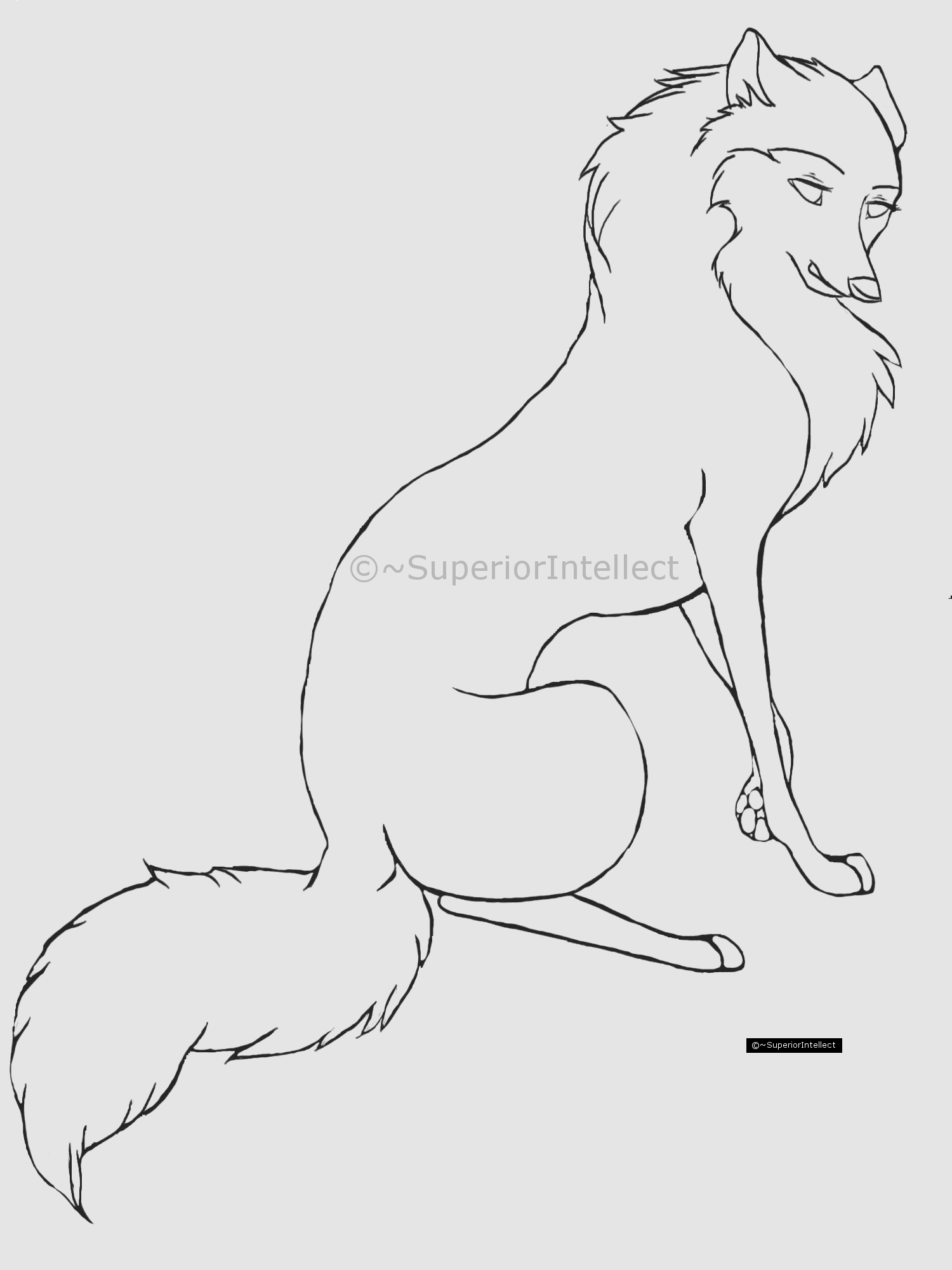 Cartoon wolf or dog line-art by SuperiorIntellect on Clipart library