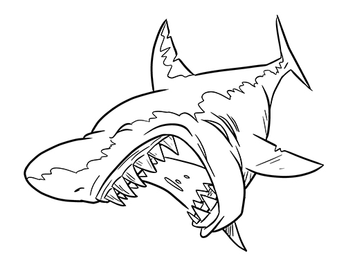 animated drawing of a shark - Clip Art Library