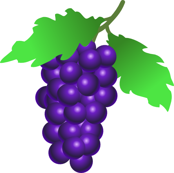 Grapes Vine Clip Art at Clipart library - vector clip art online 