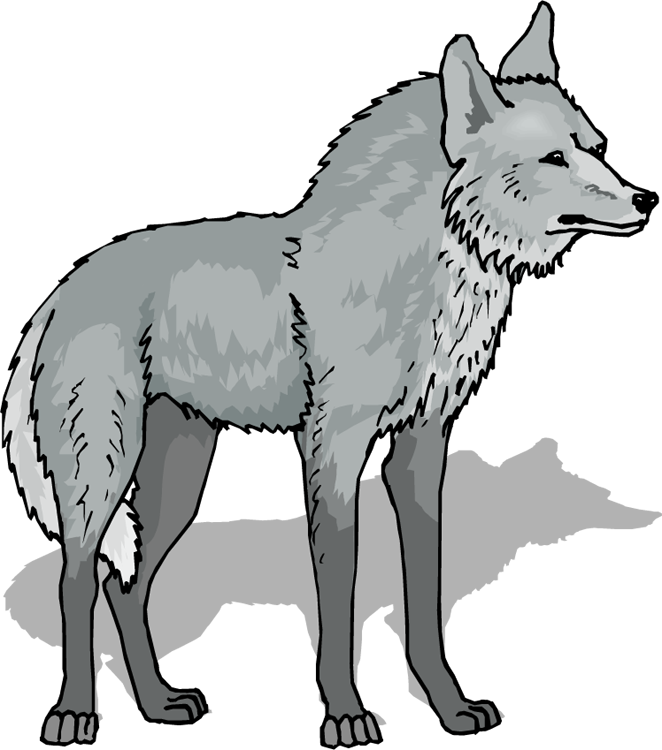 Free Wolf Clipart Transparent, Download Free Wolf Clipart Transparent png  images, Free ClipArts on Clipart Library