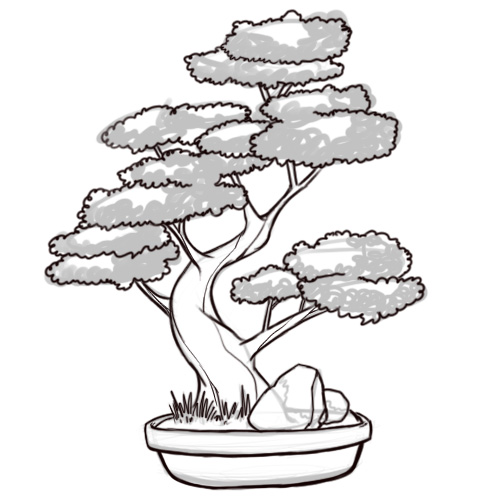 Easy To Draw Bonsai Tree Clip Art Library