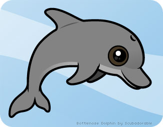 Common Bottlenose Dolphin by Scubadorable | Cute Cartoon 