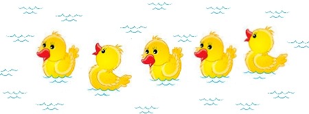 Ducks in the Pool!!?? :-( | Prestige Pools  Spas of Wilmington