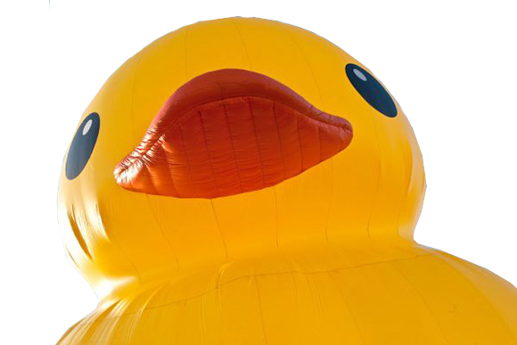 Free Rubber Duck Png, Download Free Rubber Duck Png png images, Free