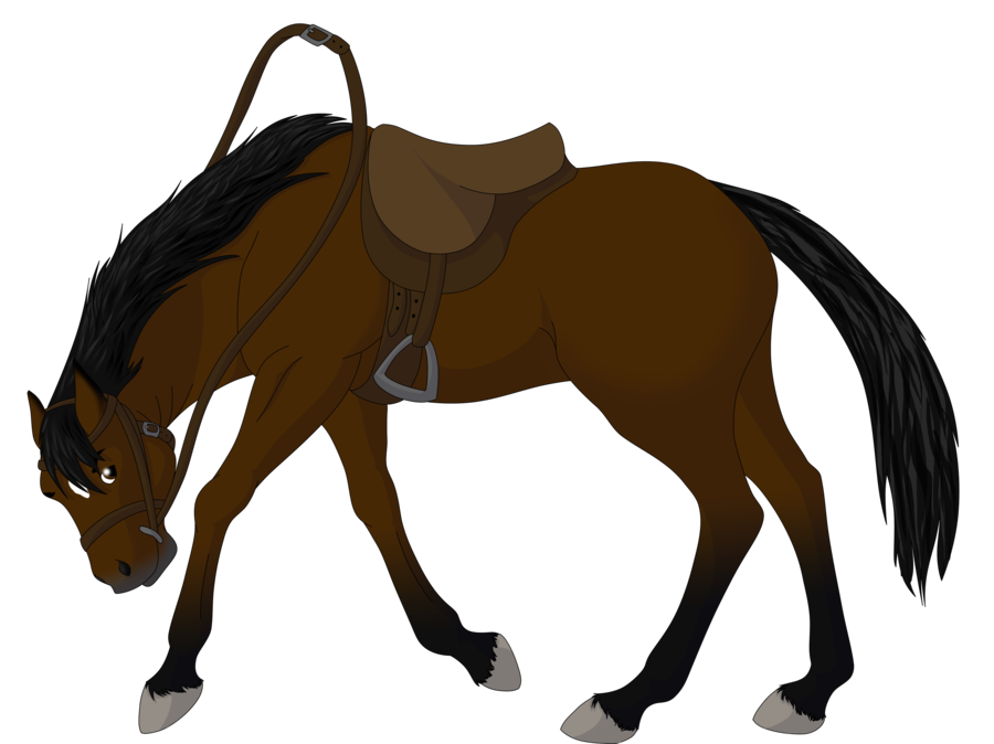 Free Bucking Horse Pictures, Download Free Bucking Horse Pictures png