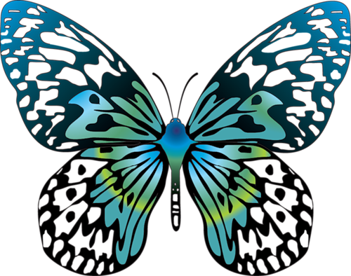 clip art free butterfly - photo #42