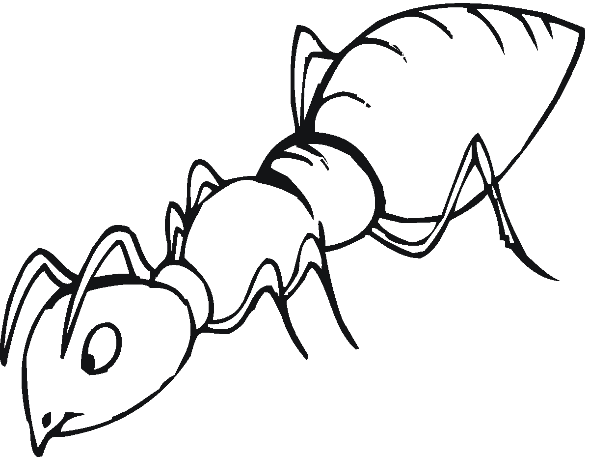Free Pictures Of Ants For Kids Download Free Pictures Of Ants For Kids