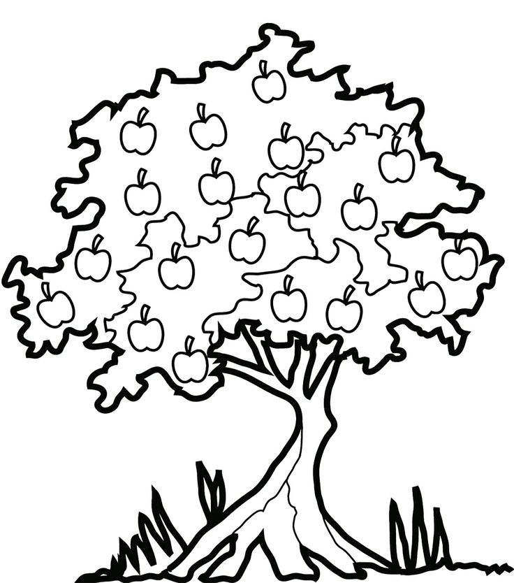 Apple Tree Fruit Coloring Page Clipart Library