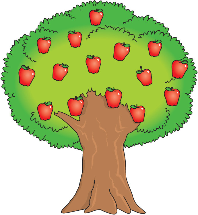 Apple tree life cycle animation | TED-