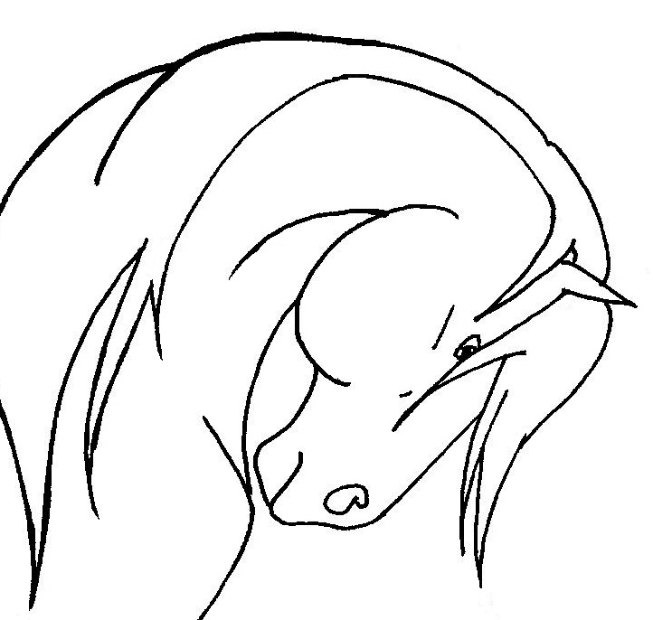 Free Horse Line Art, Download Free Horse Line Art png images, Free