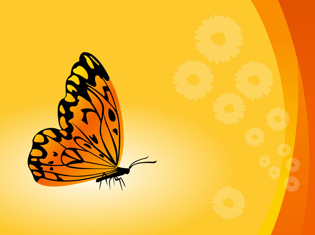 Vector Butterfly Background