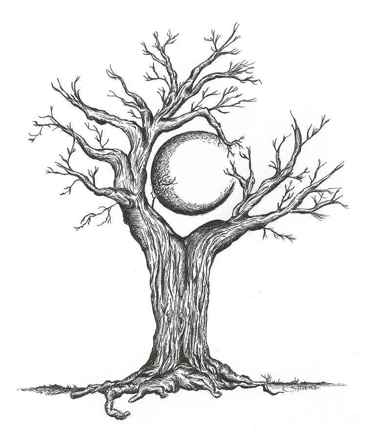 Tree Craddling Crescent Moon Drawing by Karen Sirard - Tree 