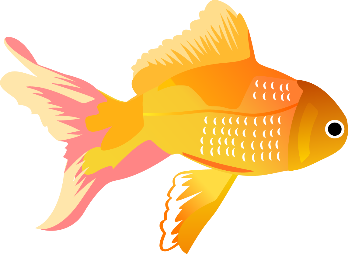 Free Fish Vector Free, Download Free Fish Vector Free png images, Free