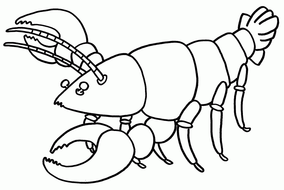 Lobster Clip Art Clipart library 203635 Crayfish Coloring Page