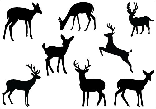 Baby Deer Silhouette Clip Art | Clipart library - Free Clipart Images