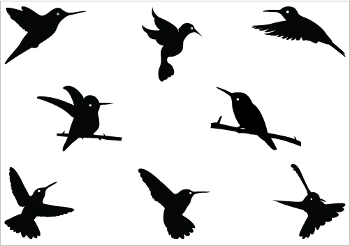 Hummingbird silhouette Vector GraphicsSilhouette Clip Art