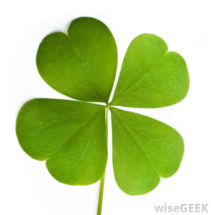 Pin by Digital Web Leprechauns? on Luck of the Irish | Clipart library