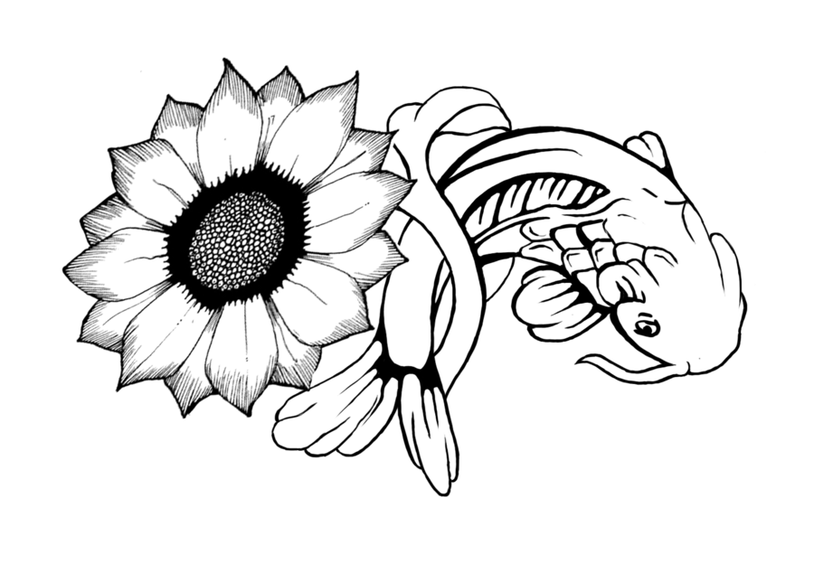 barberton daisy - Clip Art Library