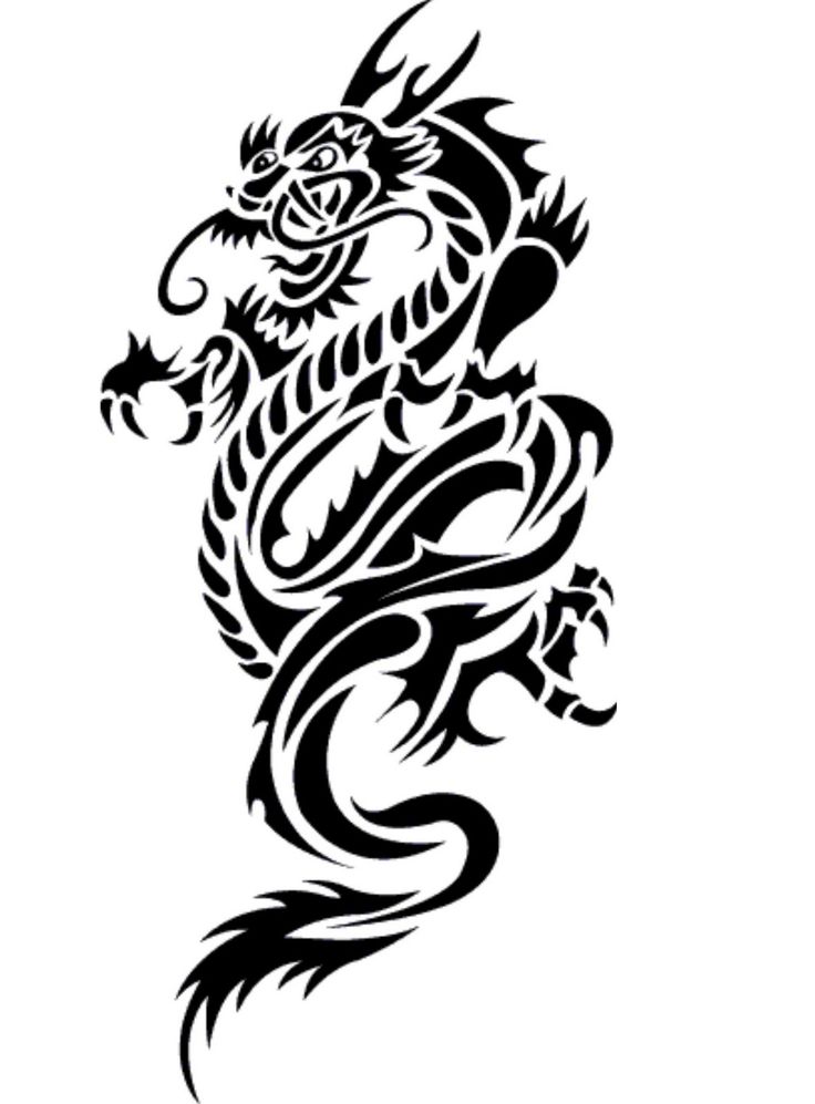 Dragon + Tattoo 