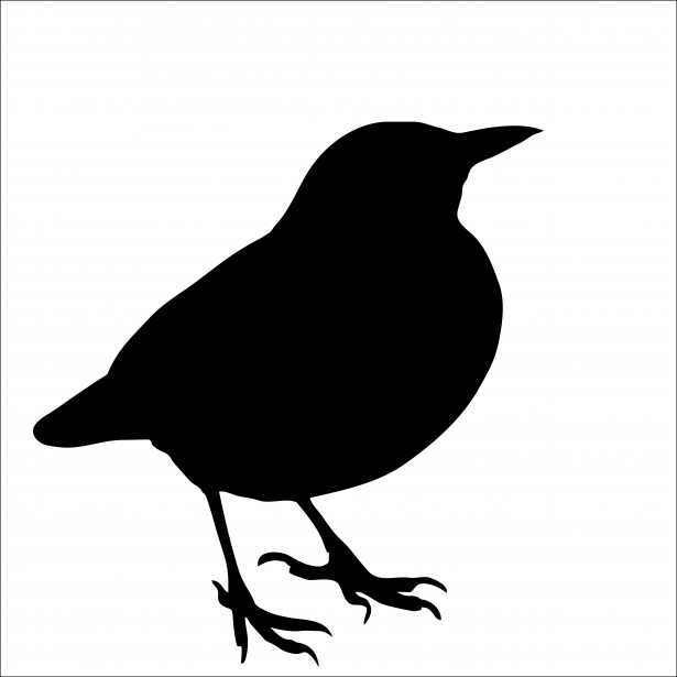 Bird Silhouette, Blackbird Free Stock Photo - Public Domain Pictures