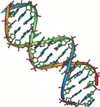 Helix Dna - Clipart library