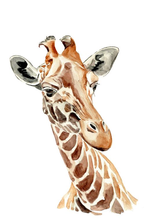 Giraffe - animal watercolor painting - art print