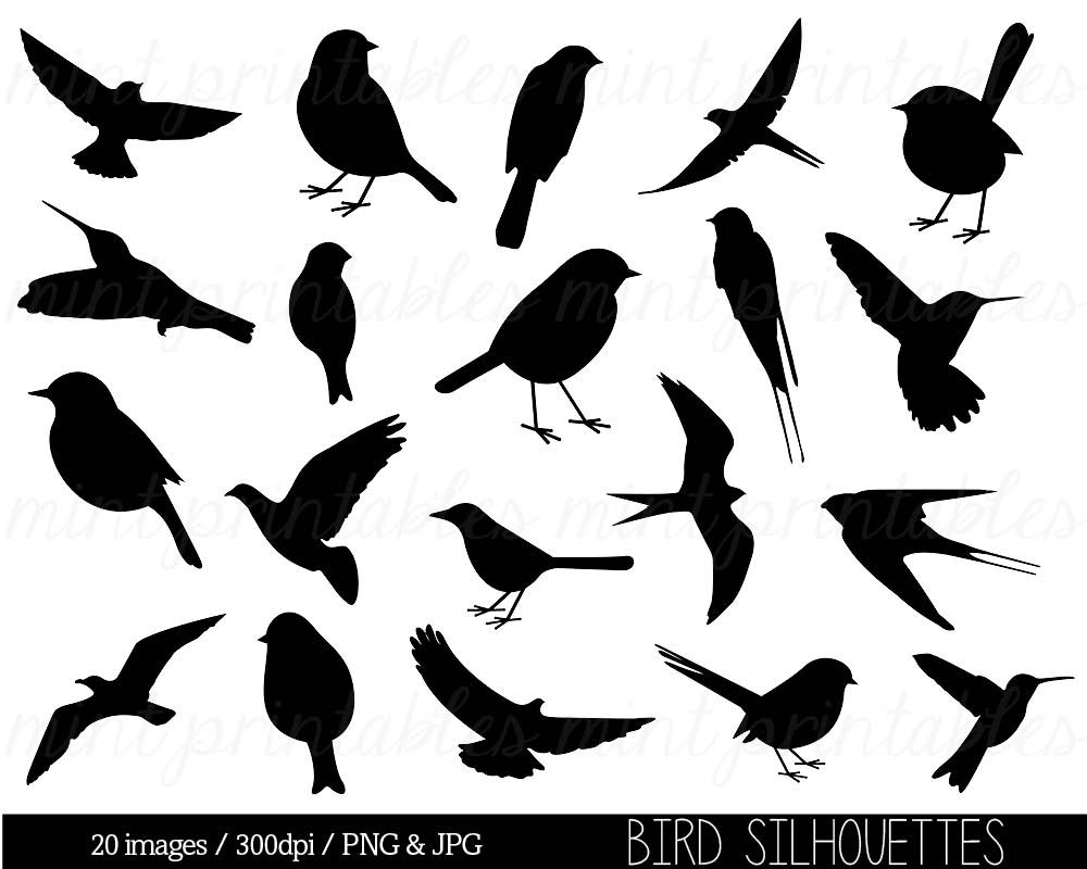 Popular items for bird silhouette on Etsy